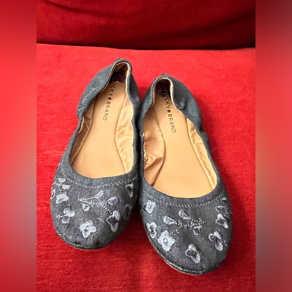 ADORABLE LUCKY BALLET FLATS